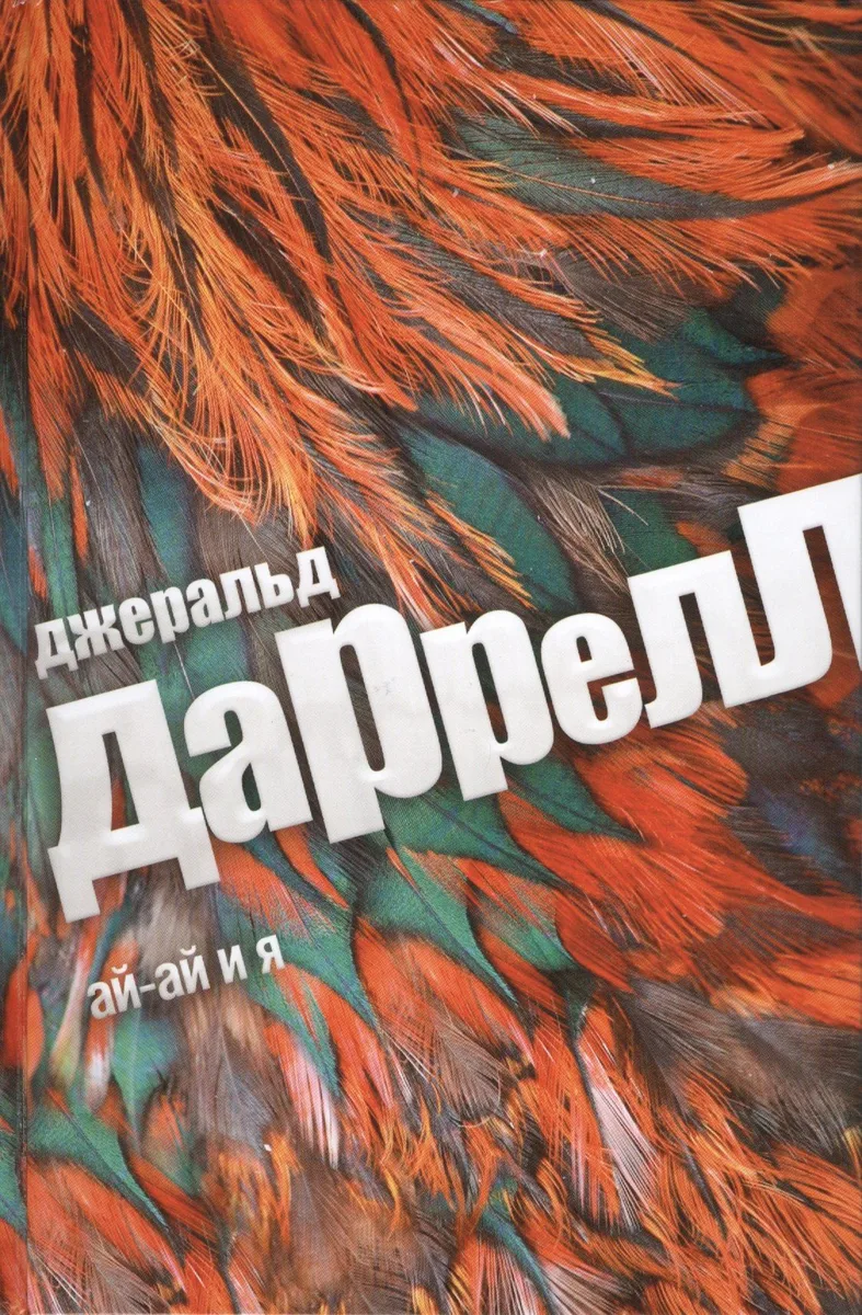 ай-ай и я