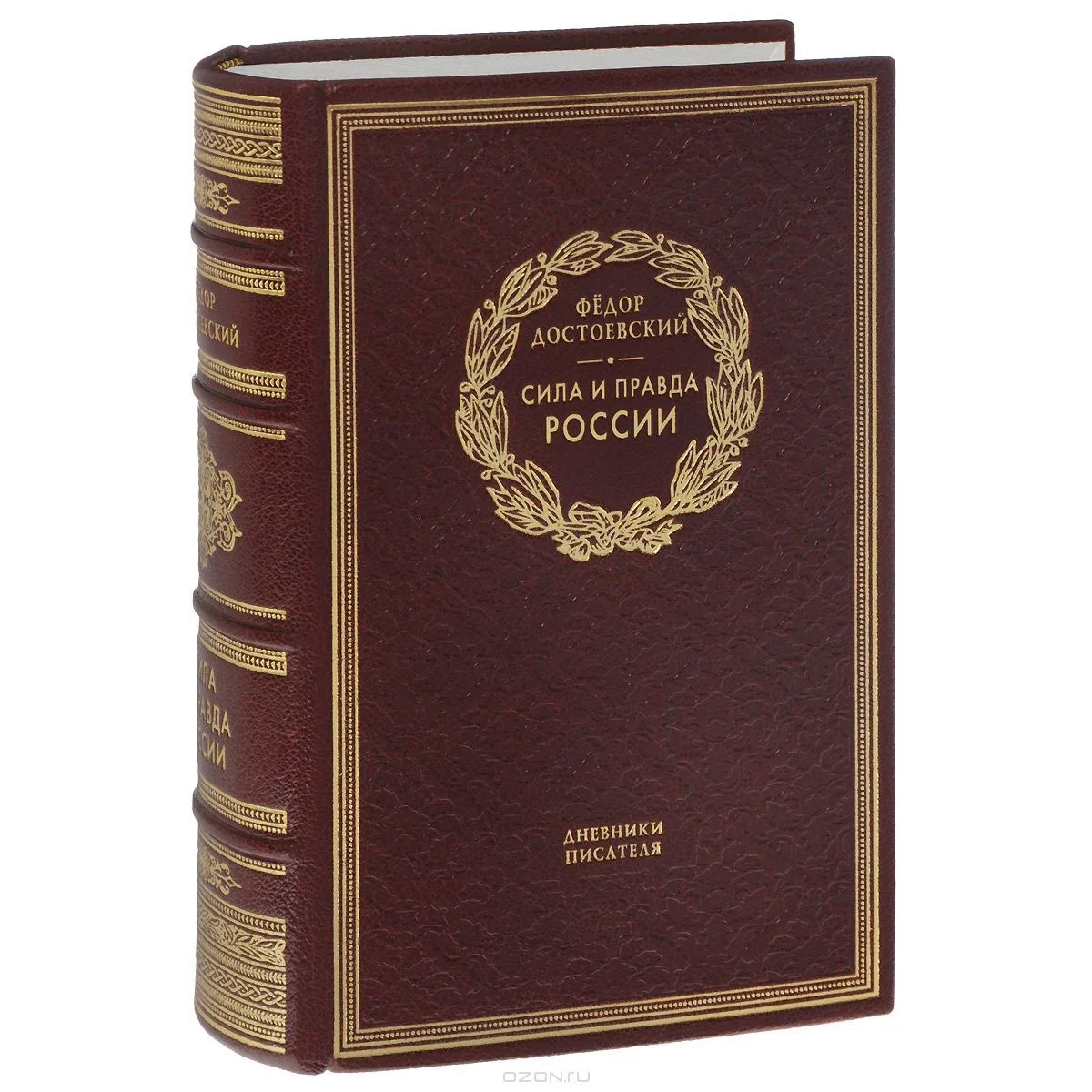 Дневники писателя