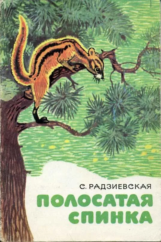 Полосатая спинка