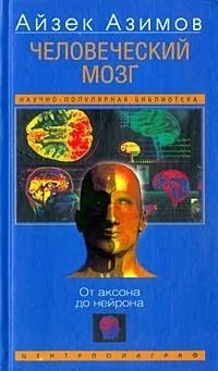 Человеческий мозг. От аксона до нейрона