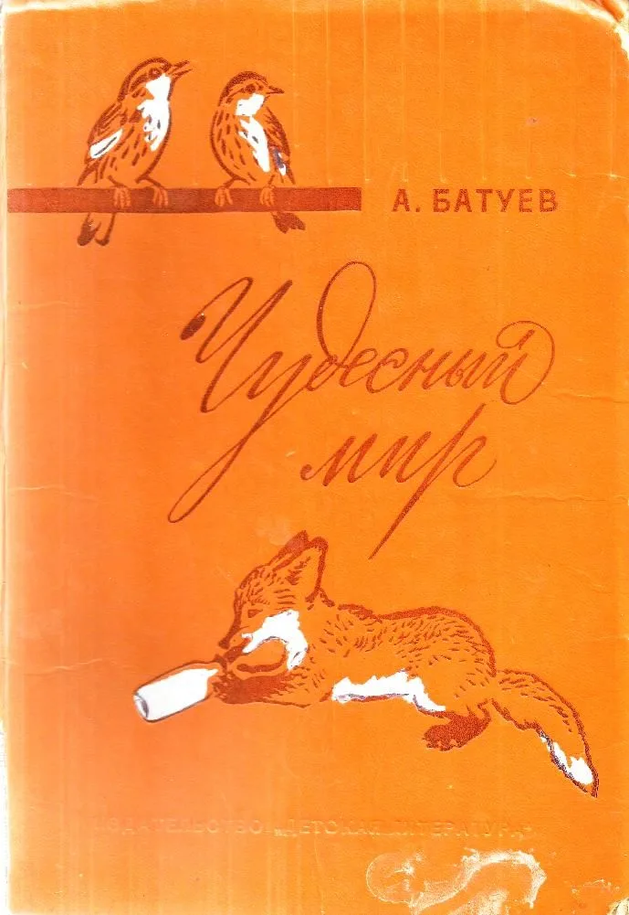 Чудесный мир