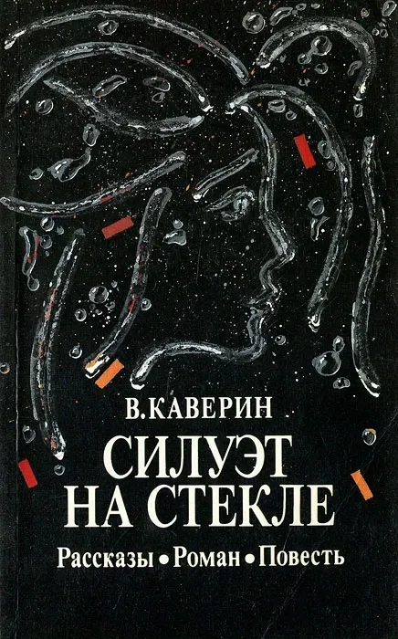 Силуэт на стекле