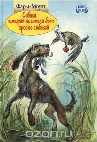 Собака, которая не хотела быть просто собакой