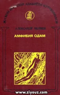 Амфибия одам