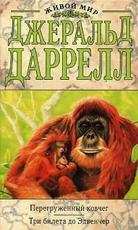 Перегруженный ковчег. Три билета до Эдвенчер