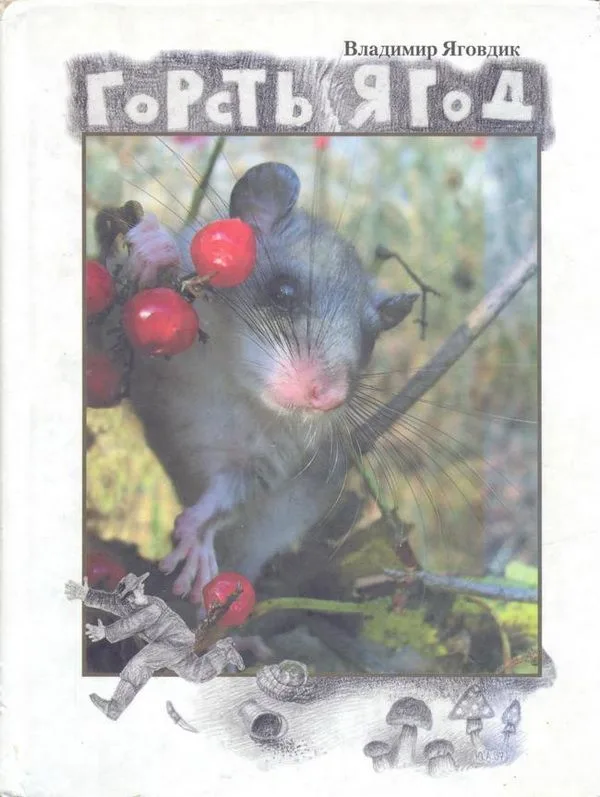 Горсть ягод