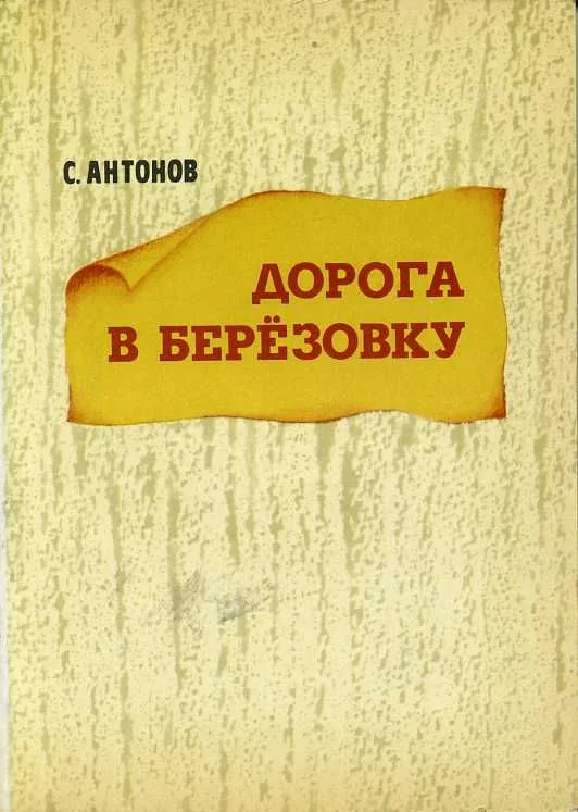 Дорога в Берёзовку
