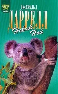 Новый Ной