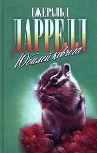 Юбилей Ковчега
