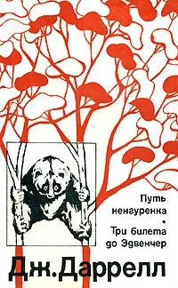 Путь кенгуренка. Три билета до Эдвенчер