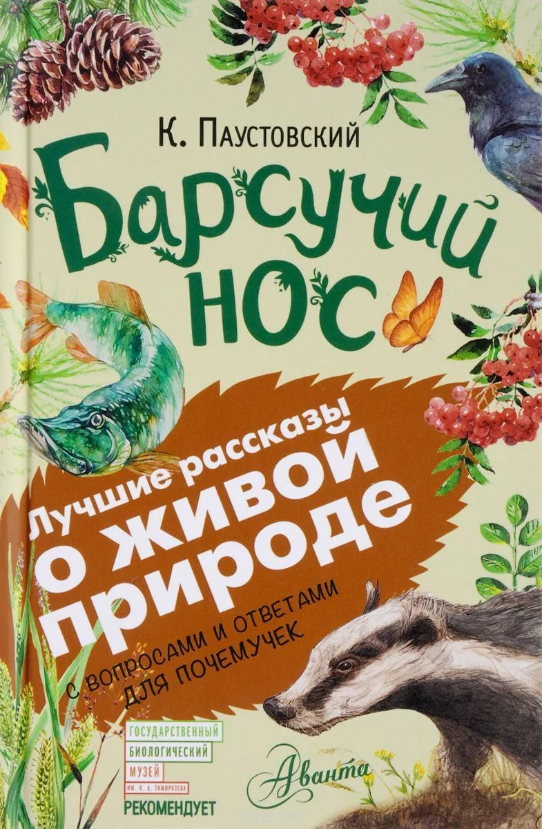 Барсучий нос