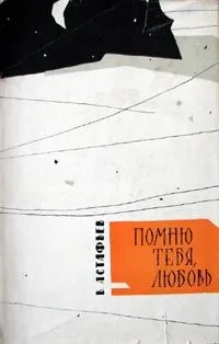 Помню тебя, любовь