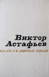 Кража. Зрячий посох