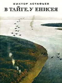 В тайге, у Енисея