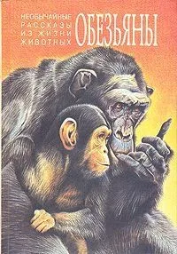 Обезьяны. Слоны