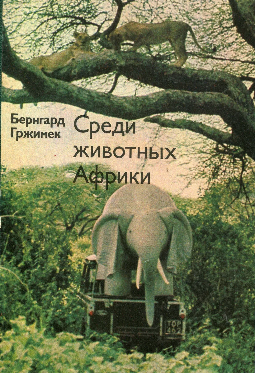 Среди животных Африки
