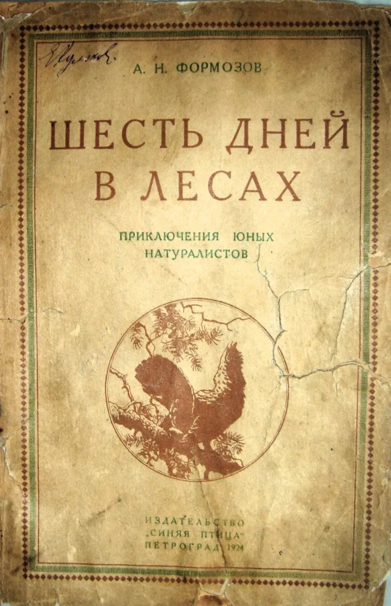 Шесть дней в лесах