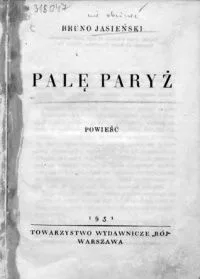Palę Paryż