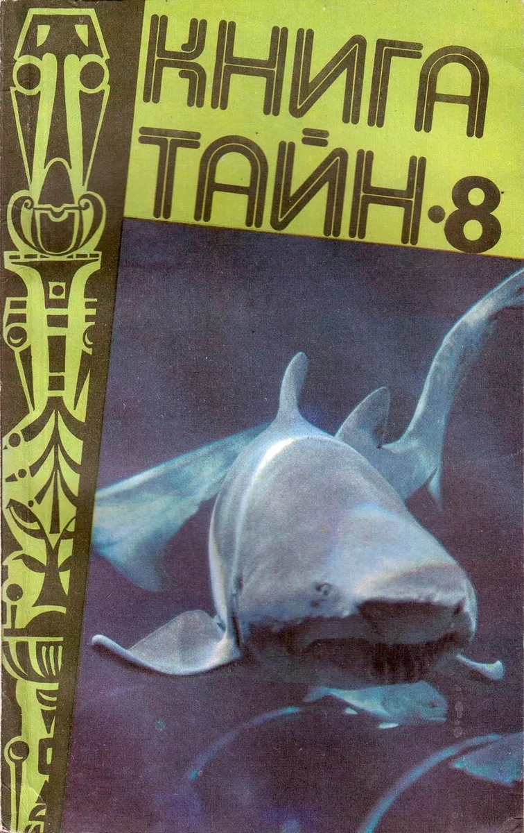 Книга тайн-8
