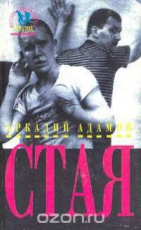 Стая