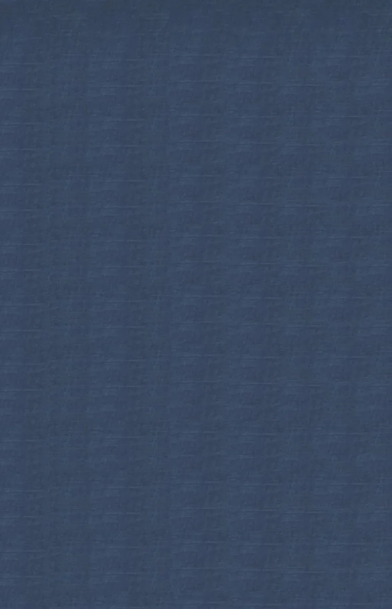 The Letters of Emily Dickinson. Volume I