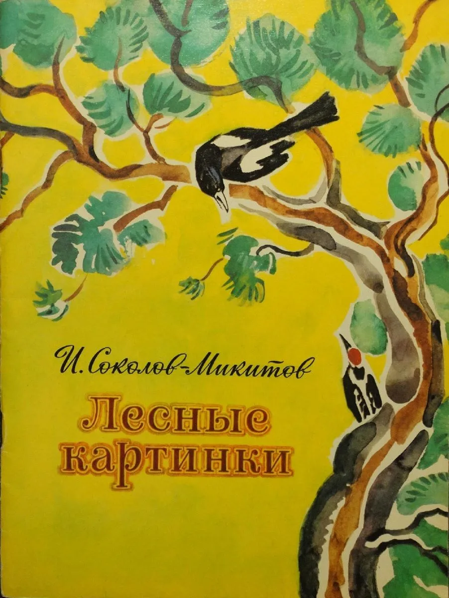 Лесные картинки