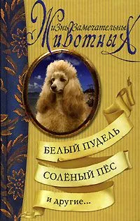 Белый пудель, Соленый пес и другие…