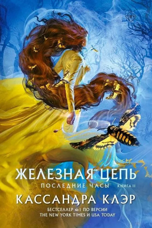 Последние часы. Книга II. Железная цепь