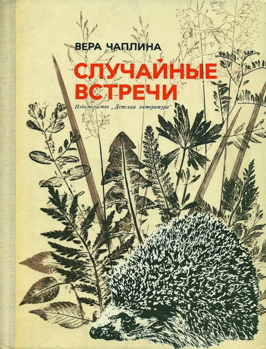 Случайные встречи