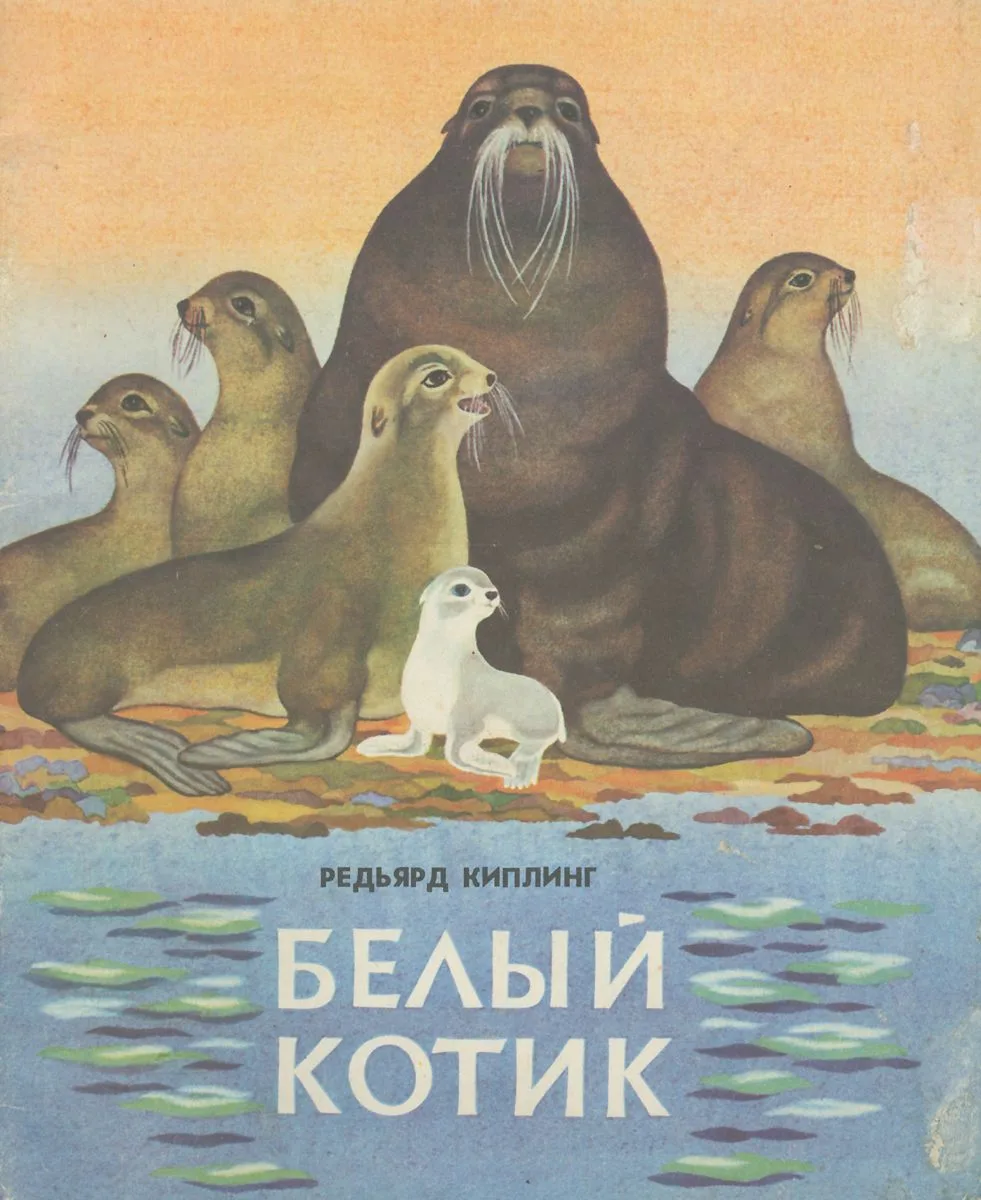 Белый Котик