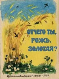Отчего ты, рожь, золотая?