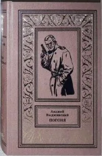 Погоня