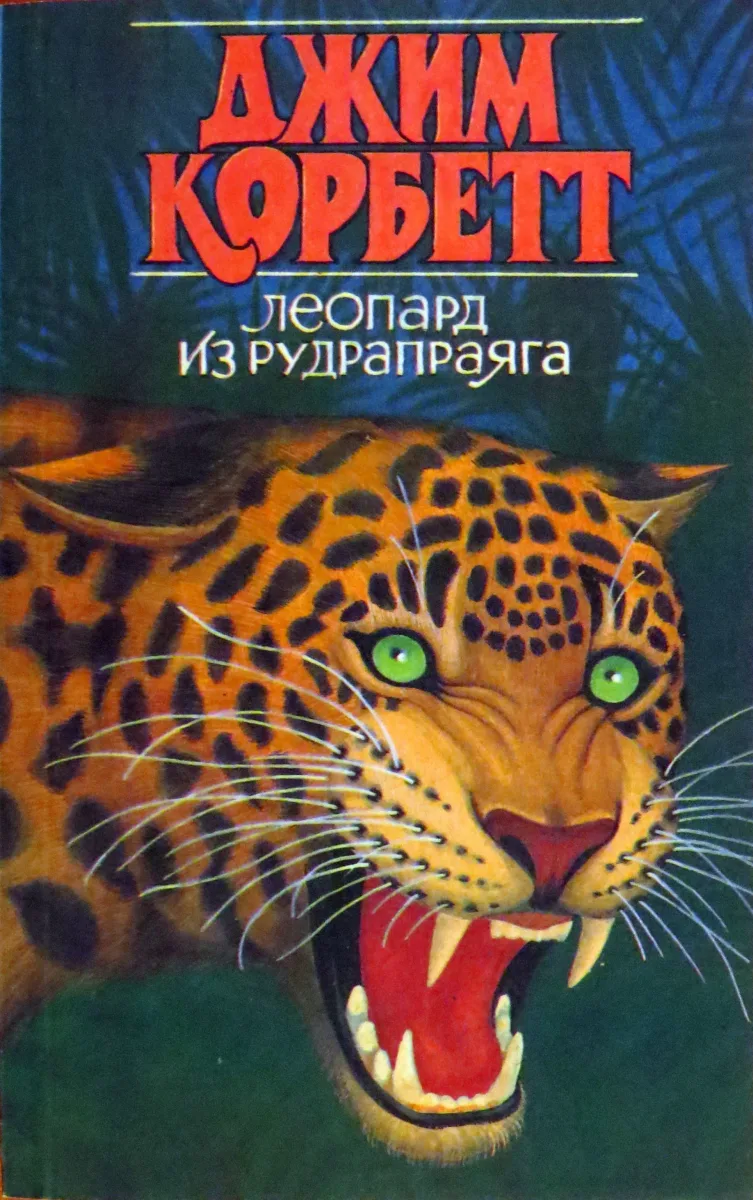 Леопард из Рудрапраяга