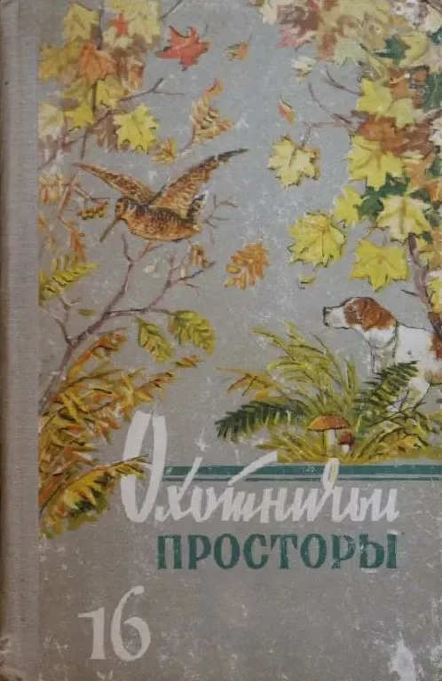 Охотничьи просторы 16