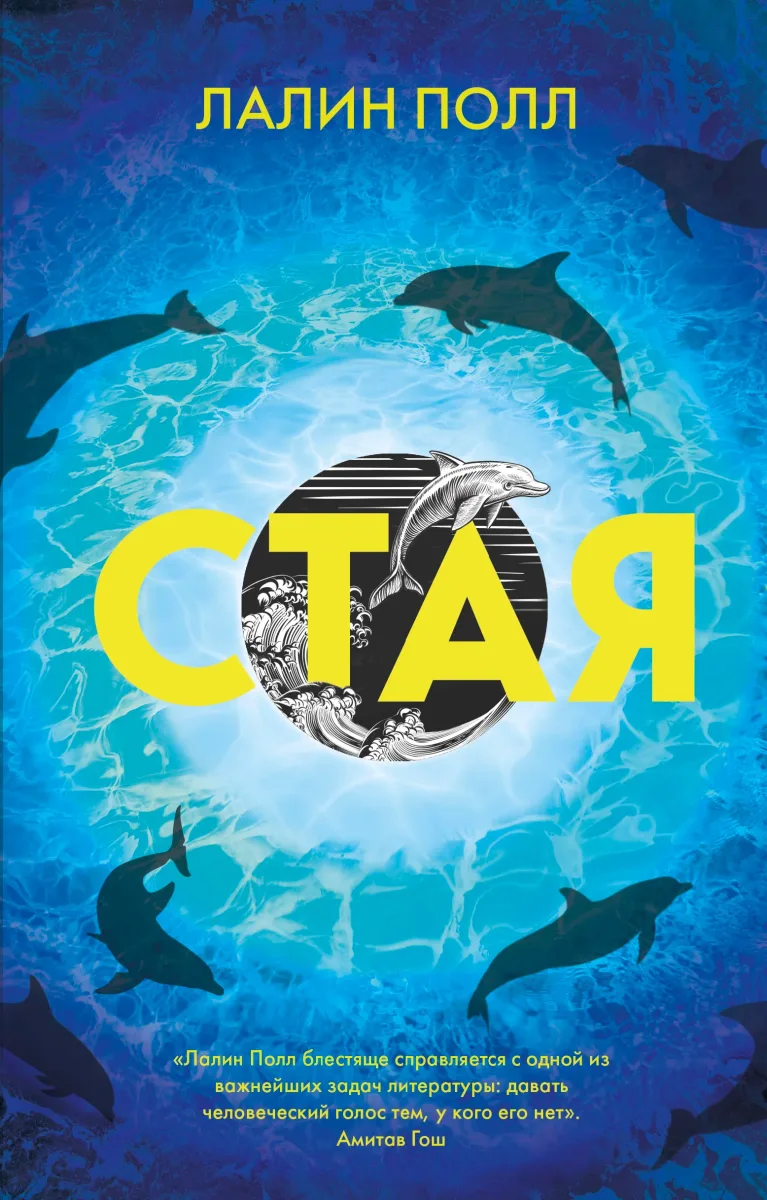 Стая