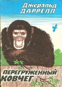 Перегруженный ковчег