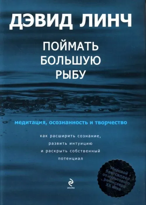 Поймать большую рыбу. Медитация, осознанность и творчество