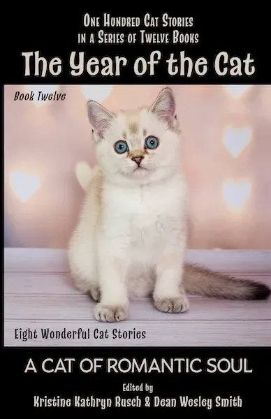 A Cat of Romantic Soul