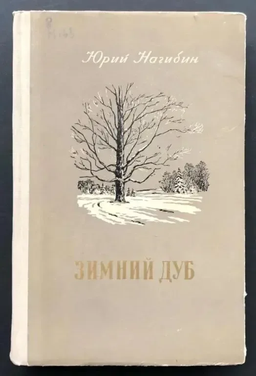 Зимний дуб