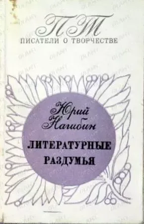 Литературные раздумья