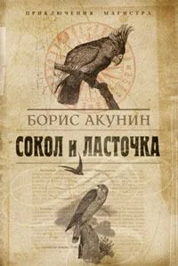 Сокол и ласточка