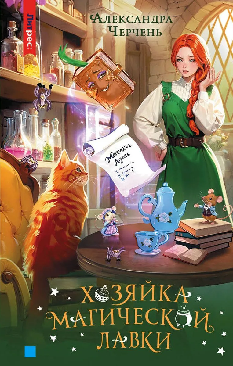 Хозяйка магической лавки