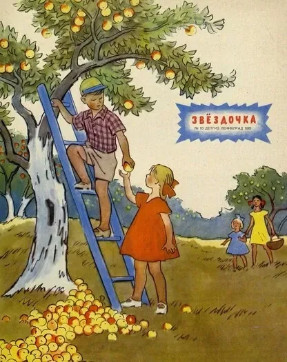 Звёздочка, 16/1961