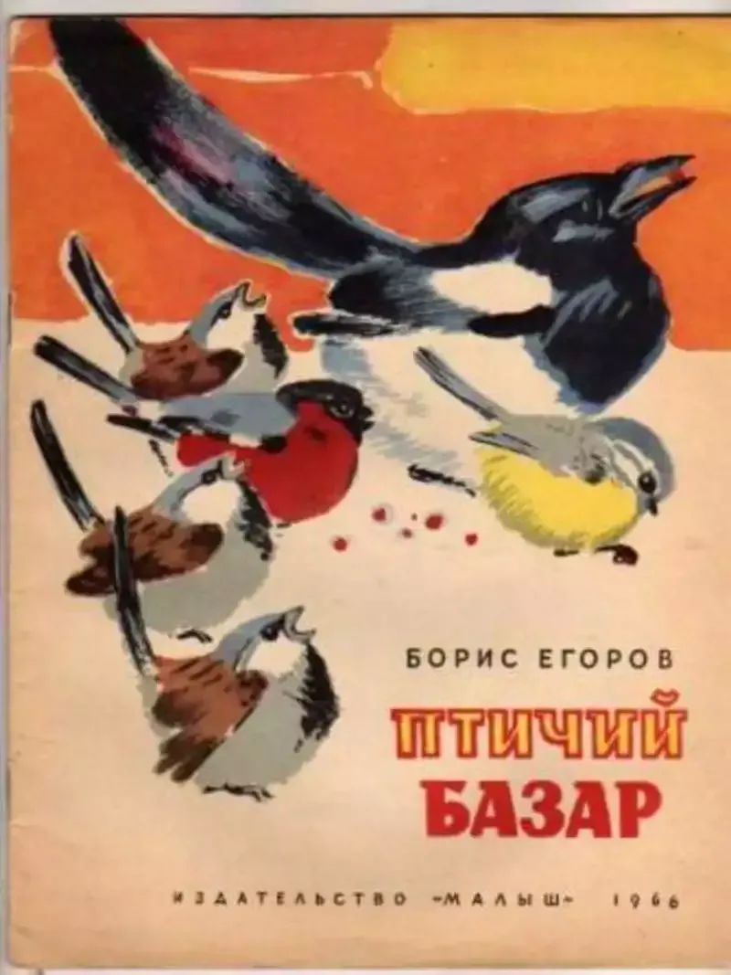 Птичий базар