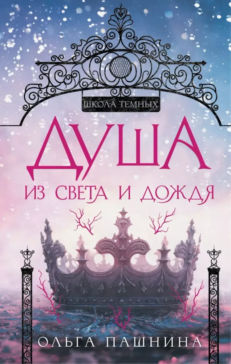Школа темных. Душа из света и дождя