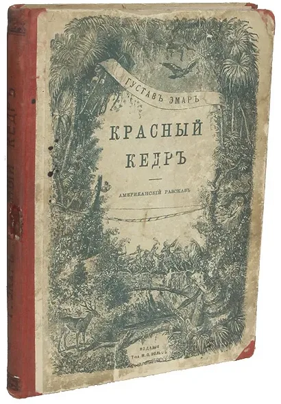 Красный кедръ