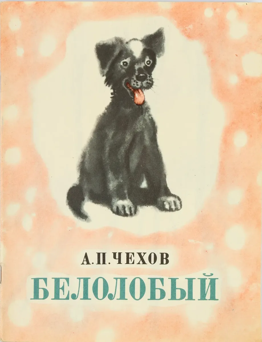 Белолобый