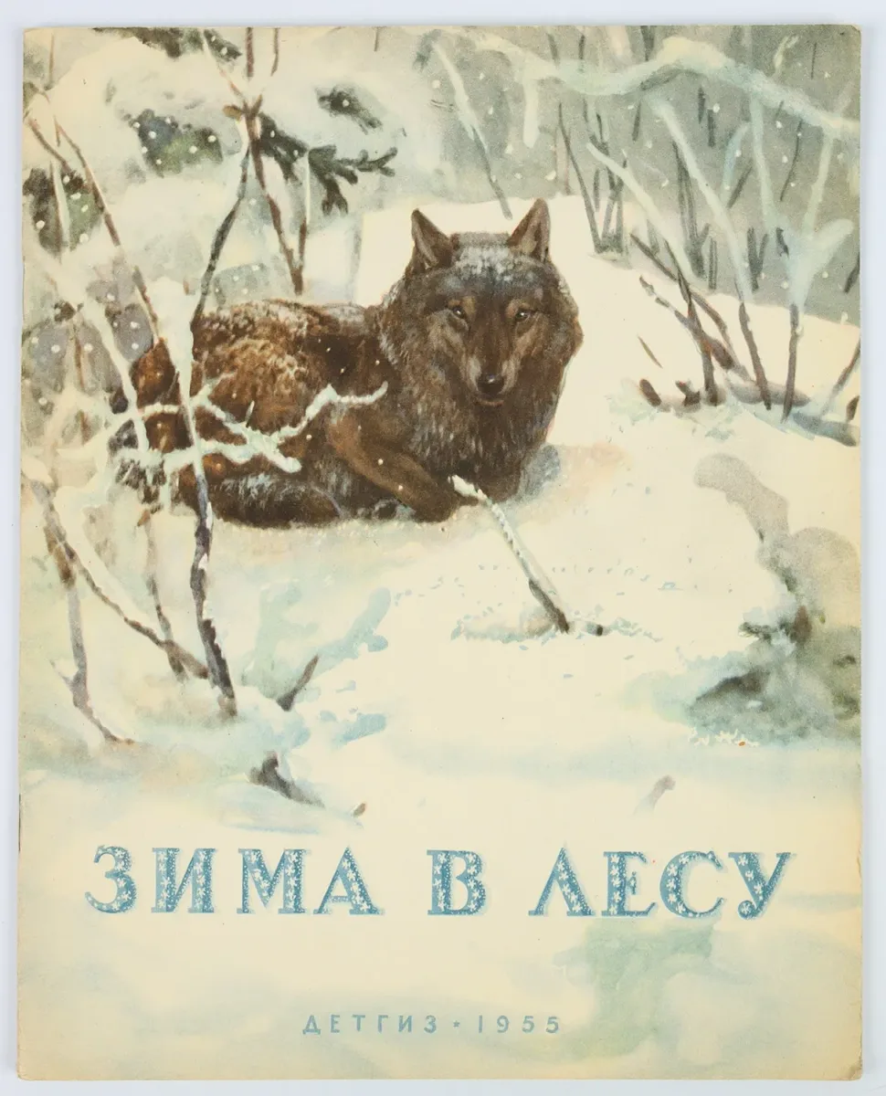 Зима в лесу