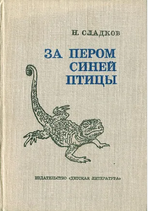 За пером синей птицы