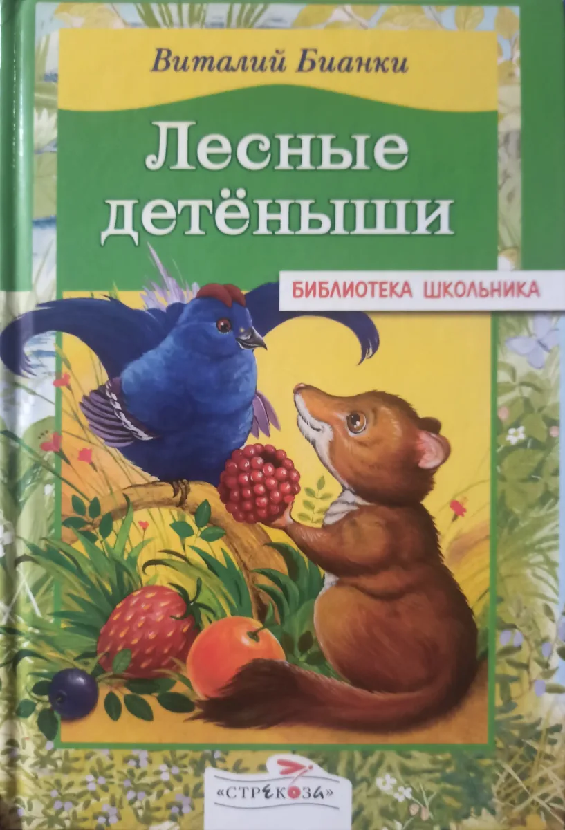 Лесные детёныши